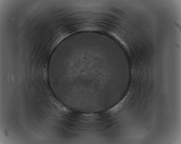 X0000091921025200709191335