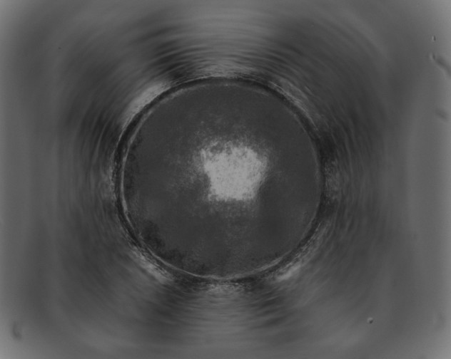 X0000091921026200709191335