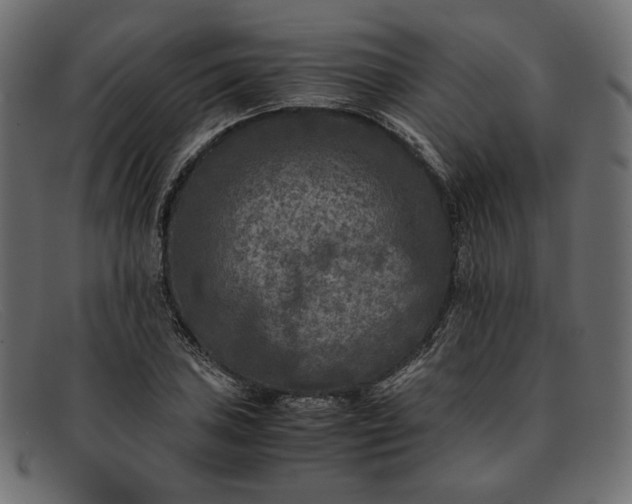 X0000091921027200709191335