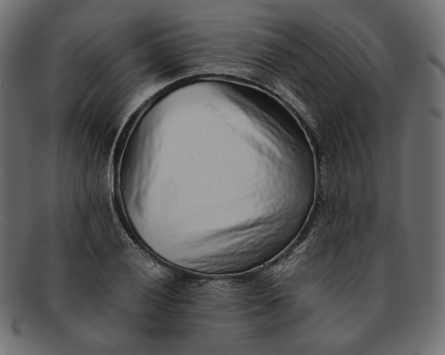 X0000091921028200709191335