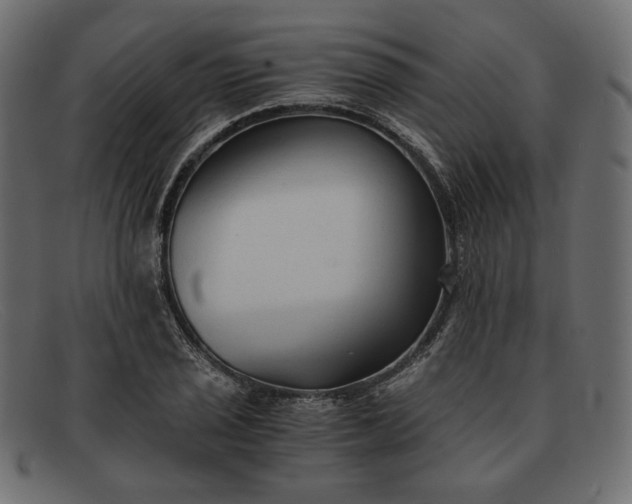 X0000091921029200709191335
