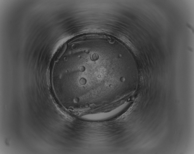 X0000091921030200709191335