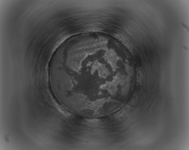 X0000091921031200709191335