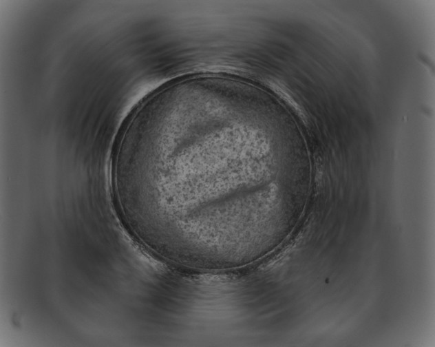 X0000091921032200709191335
