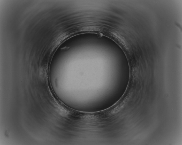 X0000091921033200709191335