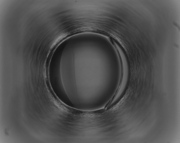 X0000091921034200709191335