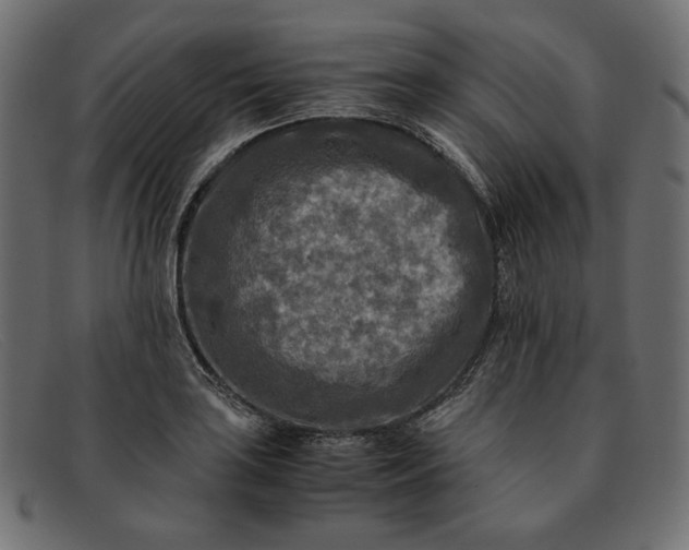 X0000091921035200709191335