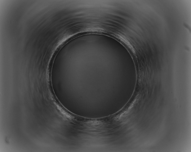 X0000091921037200709191335