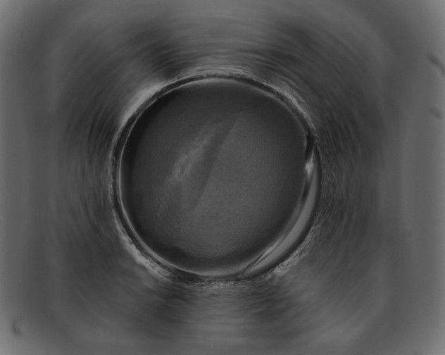 X0000091921038200709191335
