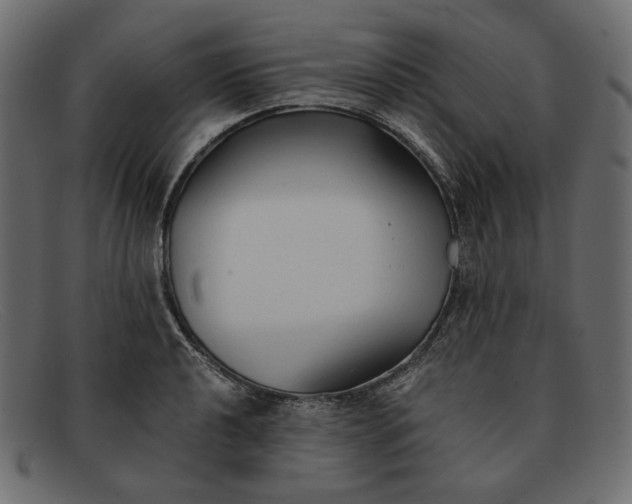 X0000091921040200709191335