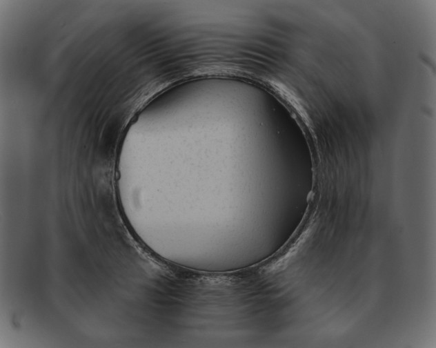 X0000091921041200709191335
