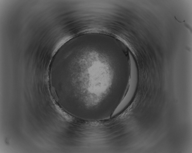 X0000091921042200709191335
