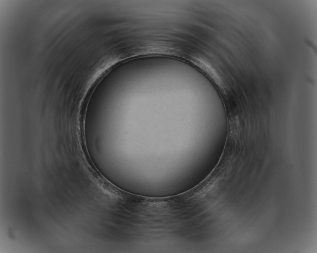 X0000091921043200709191335