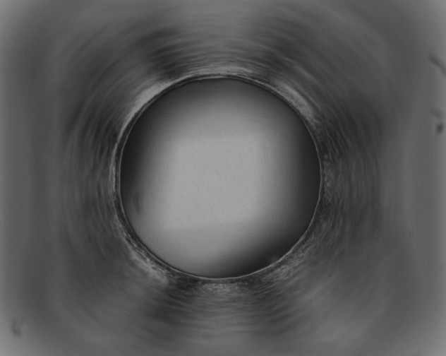 X0000091921044200709191335