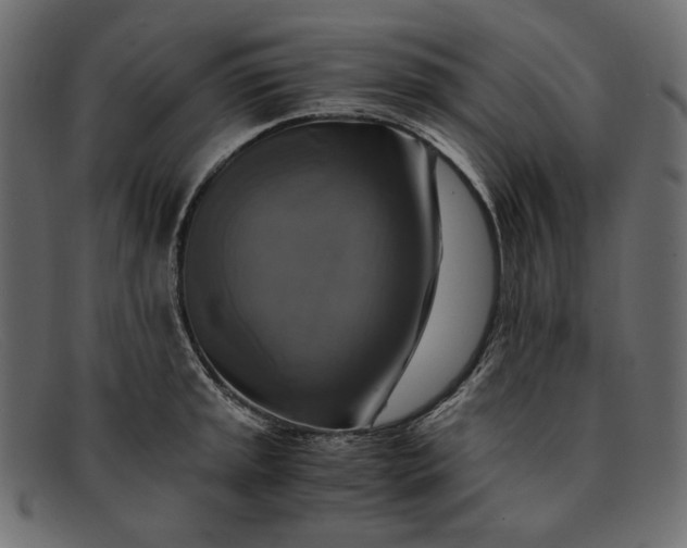 X0000091921045200709191335