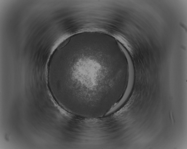X0000091921046200709191335