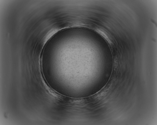 X0000091921047200709191335