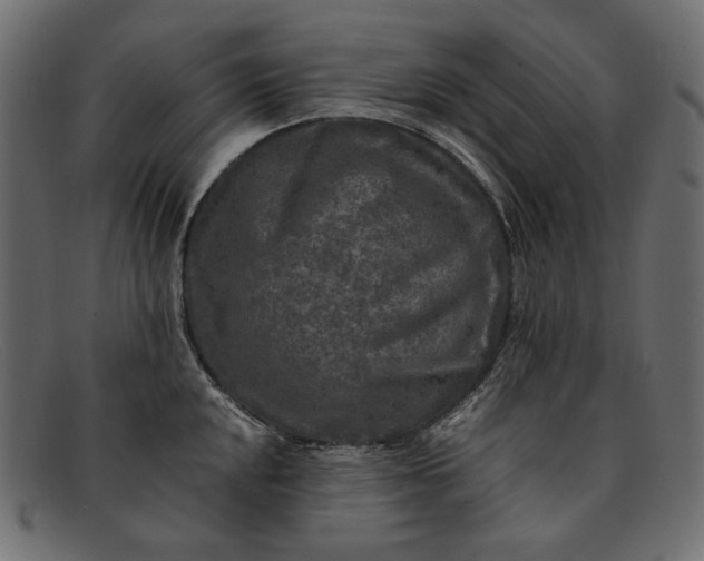 X0000091921048200709191335