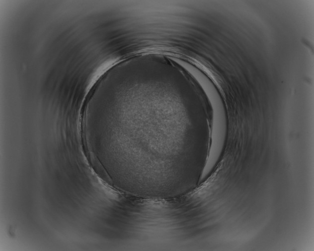 X0000091921050200709191335