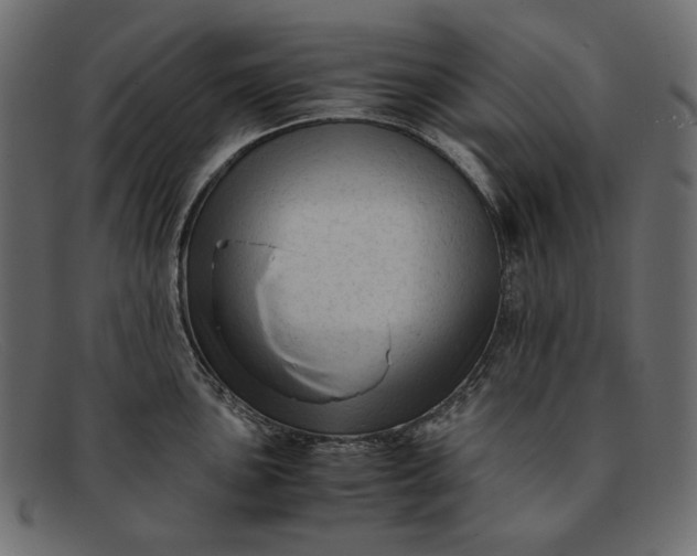 X0000091921051200709191335
