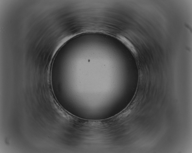 X0000091921052200709191335