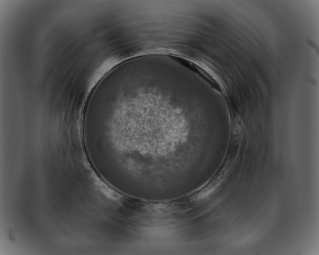 X0000091921054200709191335