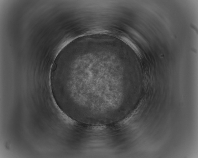 X0000091921055200709191336