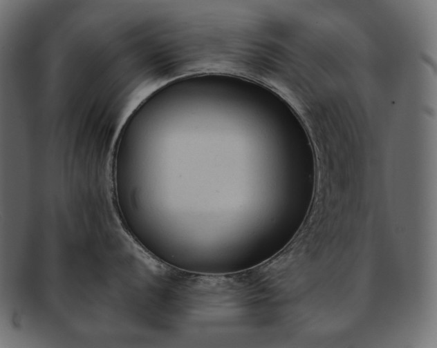 X0000091921056200709191336