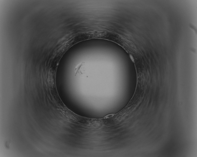 X0000091921058200709191335
