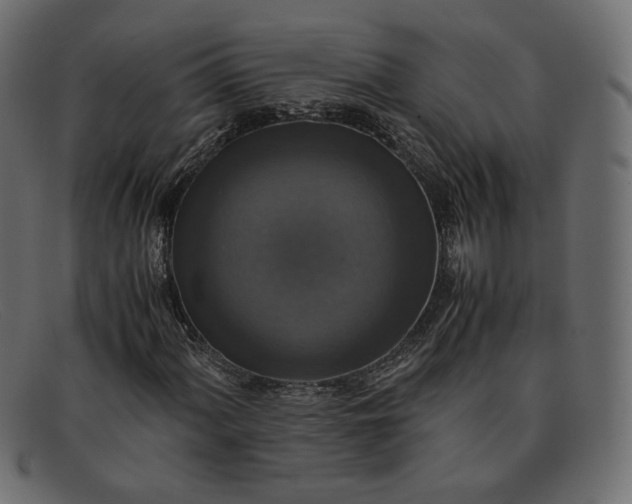 X0000091921060200709191335