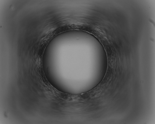 X0000091921061200709191335