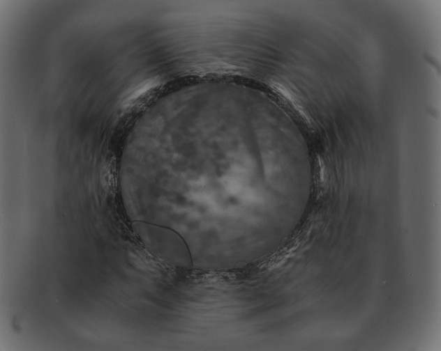 X0000091921063200709191335