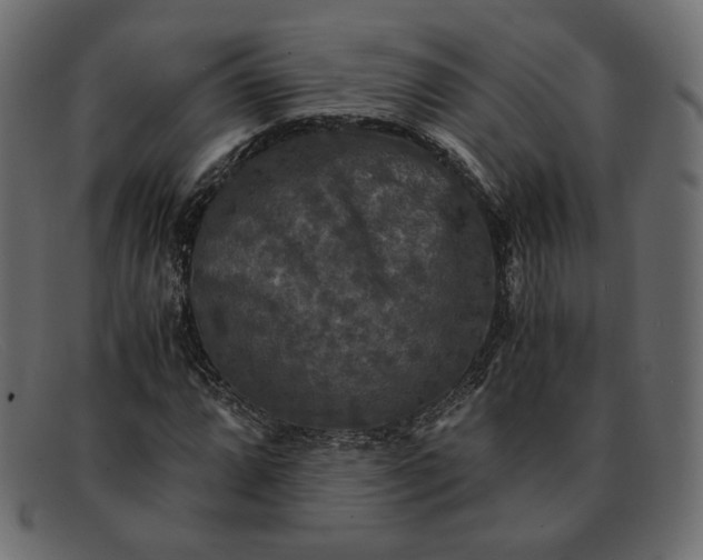X0000091921064200709191335