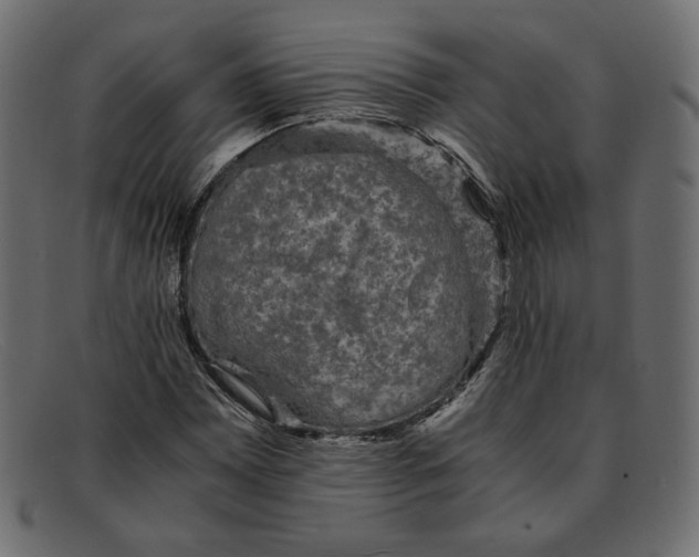 X0000091921065200709191335