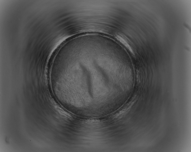 X0000091921068200709191335