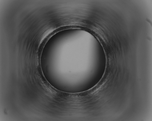 X0000091921069200709191335