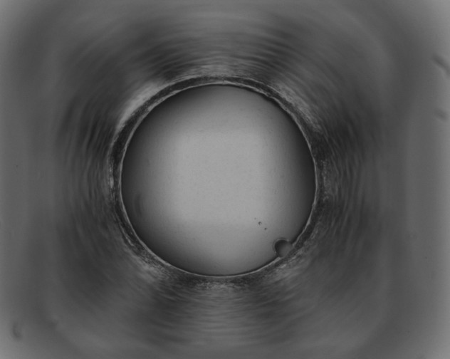 X0000091921070200709191335