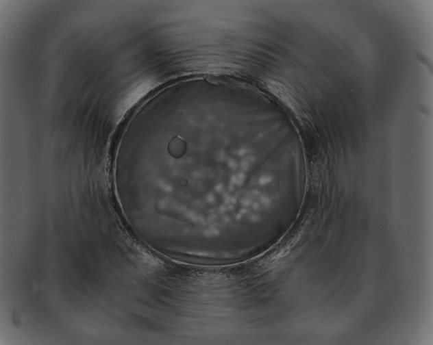 X0000091921071200709191335