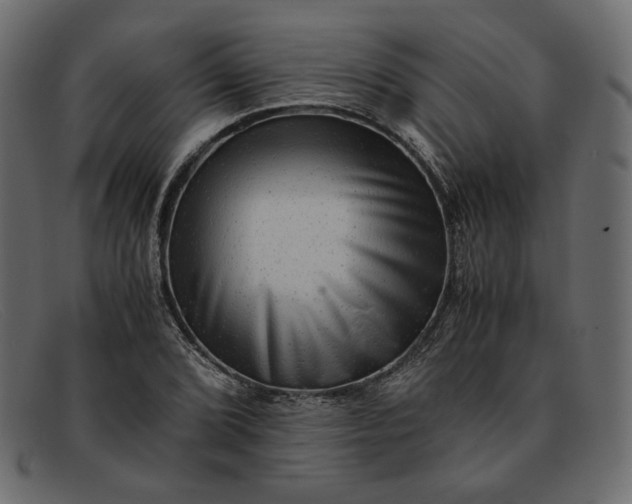 X0000091921072200709191335