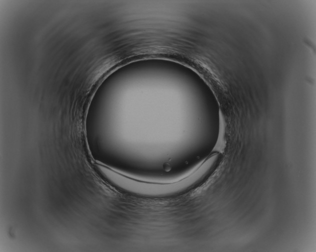 X0000091921073200709191335