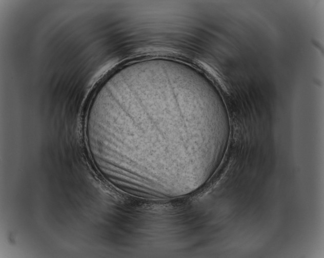 X0000091921074200709191335