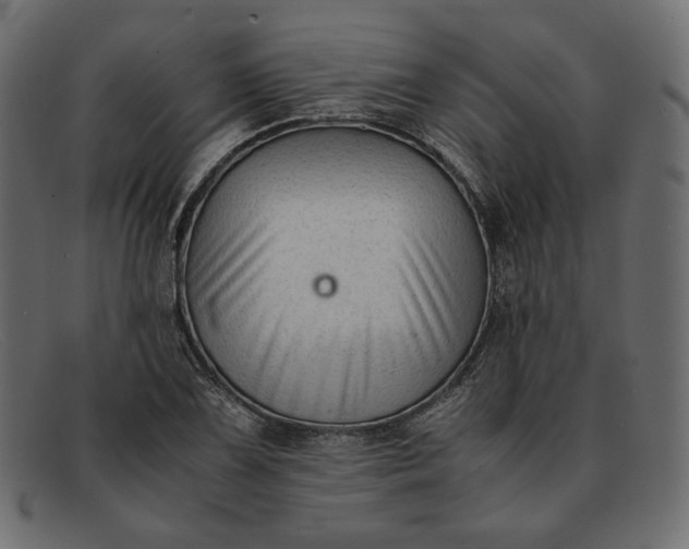 X0000091921075200709191335