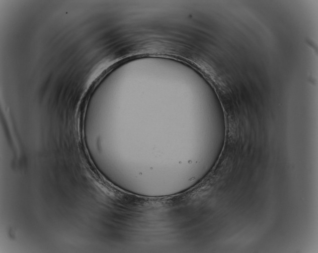 X0000091921078200709191335