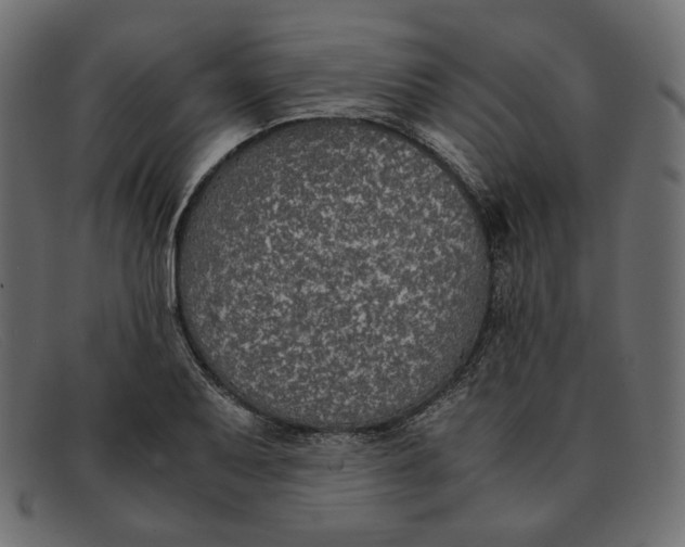 X0000091921079200709191335