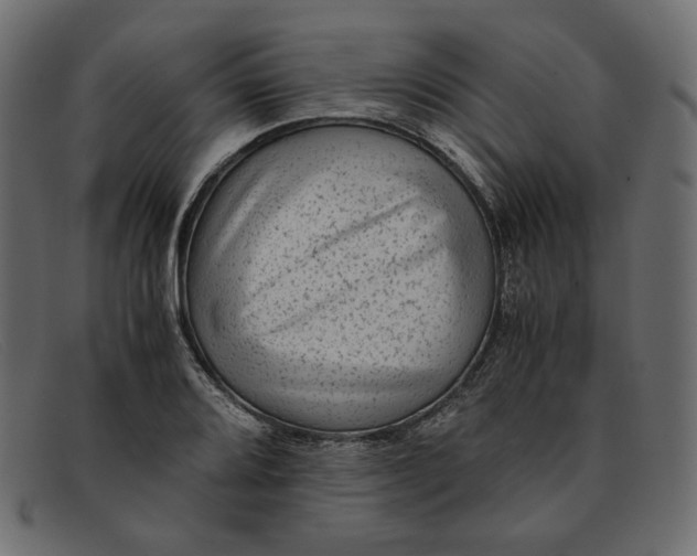 X0000091921080200709191335