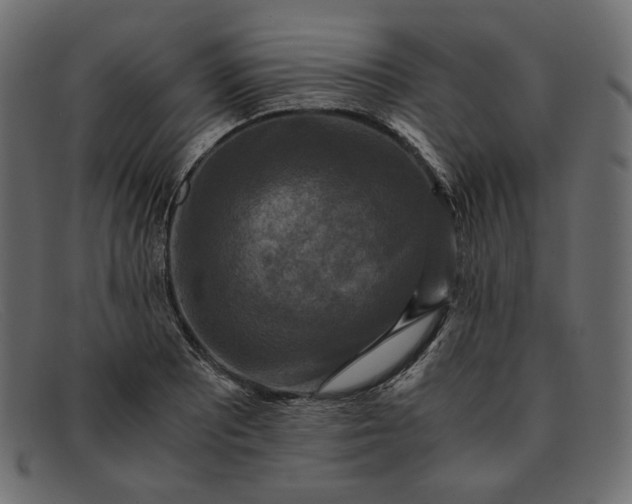 X0000091921081200709191335