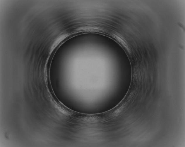 X0000091921082200709191335
