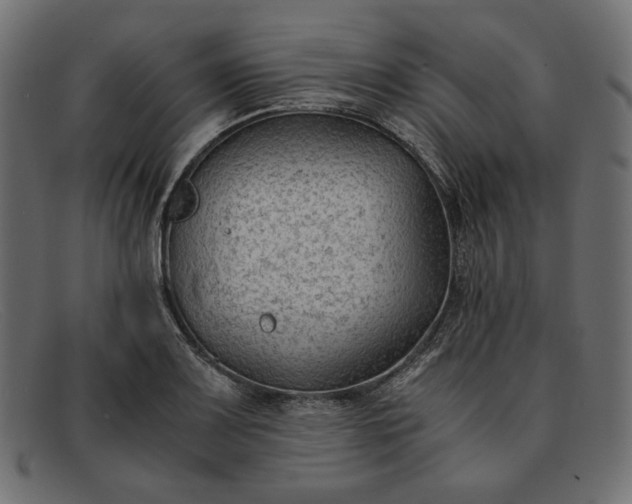 X0000091921083200709191335