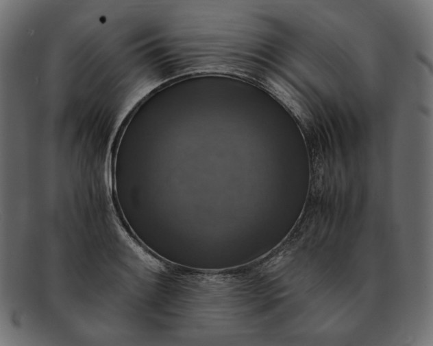 X0000091921084200709191335