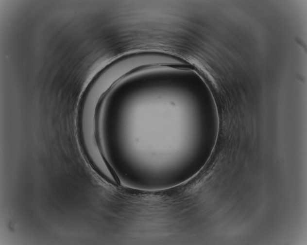 X0000091921085200709191335